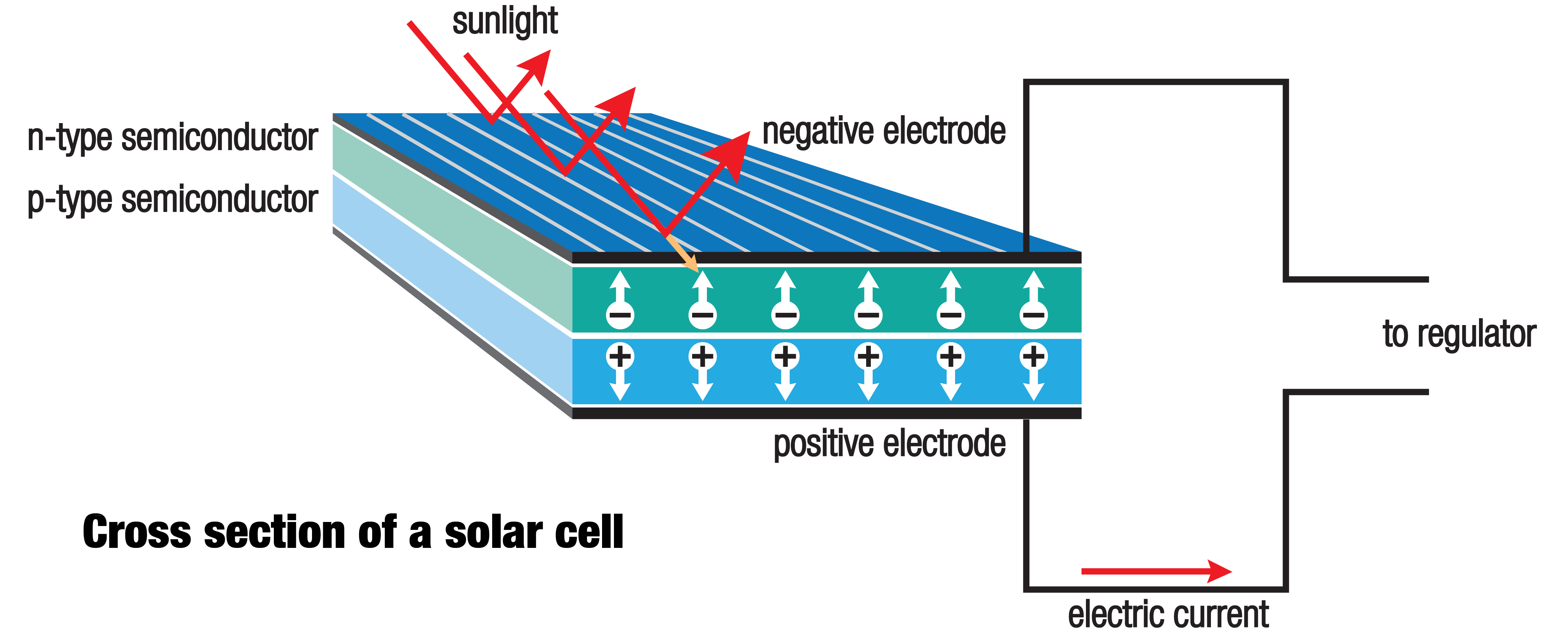 Solar Cell Anatomy