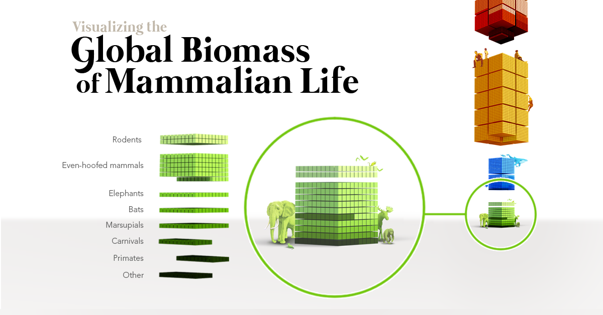 Global Biomass of Mammals