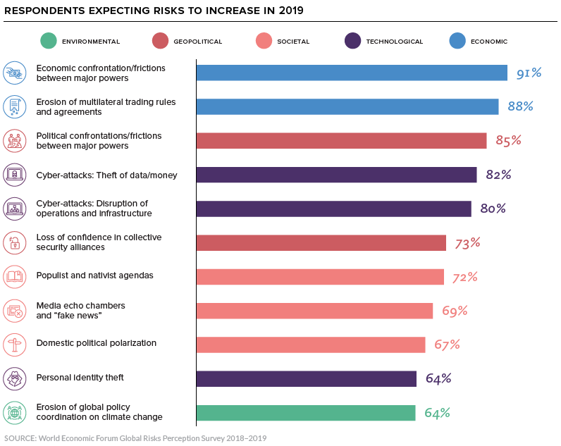 global risks survey 2019