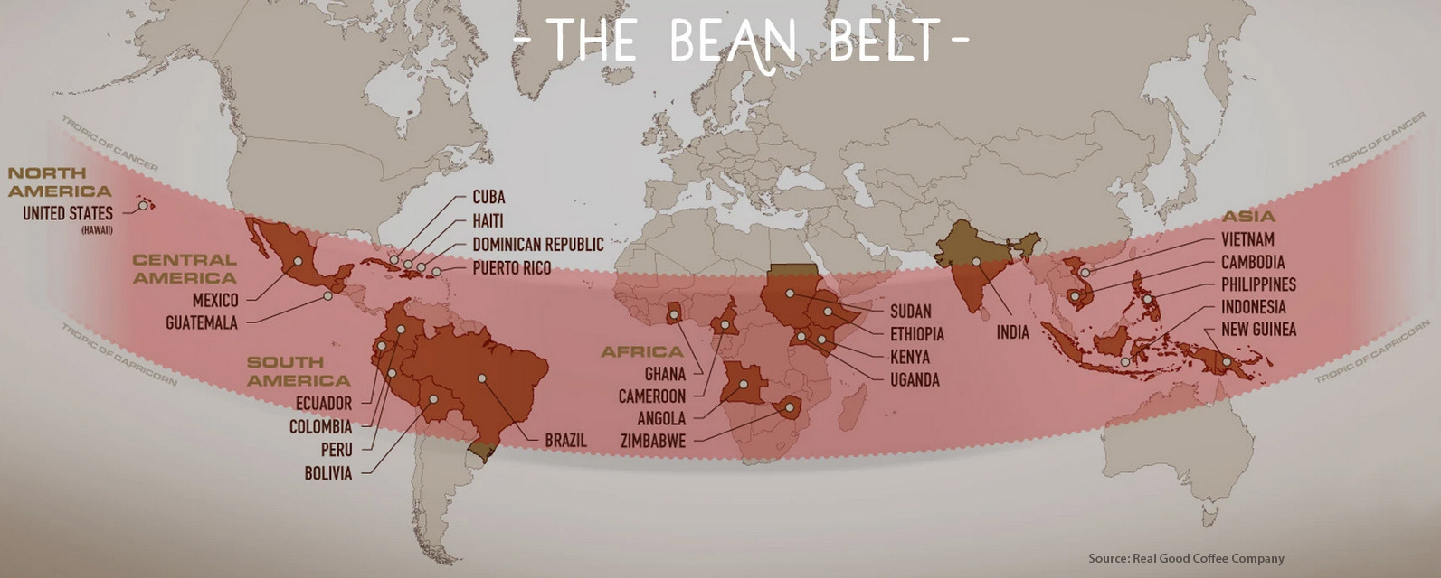 coffee bean belt