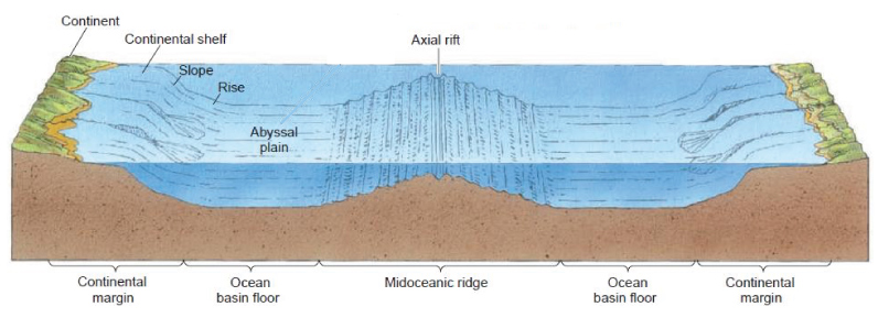 abyssal plain ocean topography