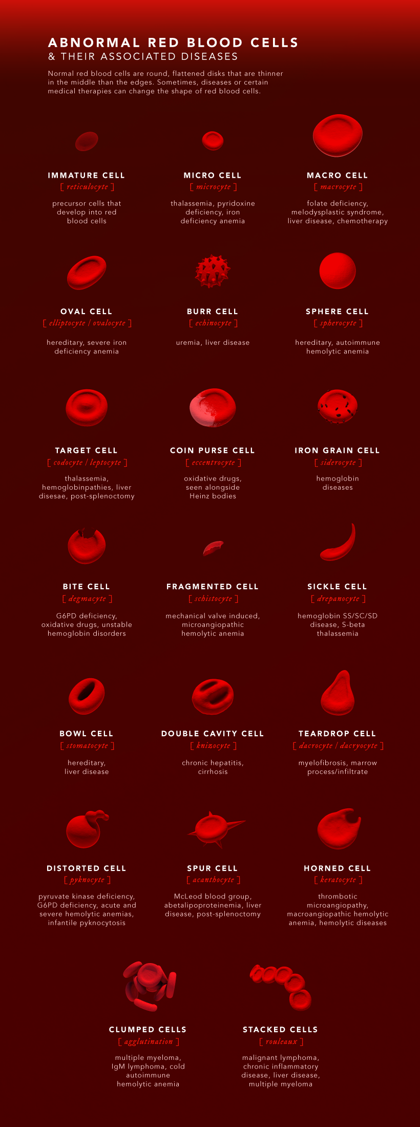 composition of blood