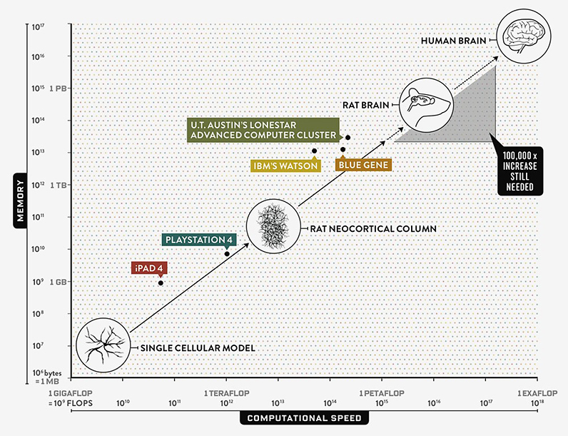 Computer Brain Exascale